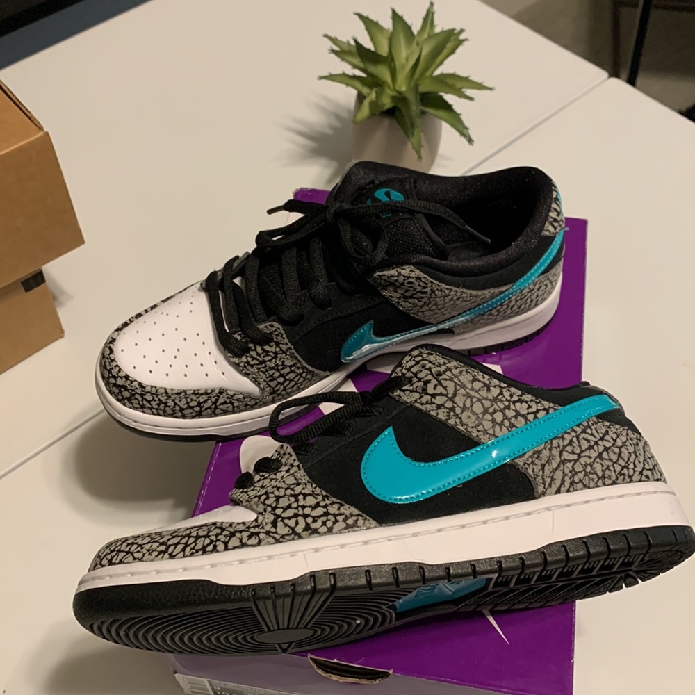 💙 Mens size 9 Used like new 🌴 Nike SB Dunk Low Pro